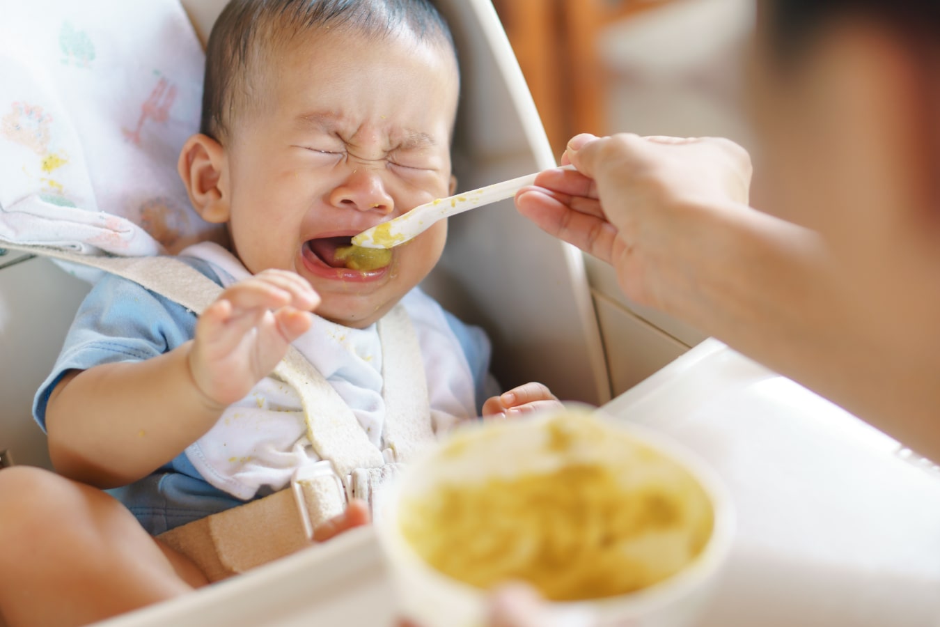 Ein Baby sitzt angeschnallt in einem Fütterungsstuhl, weigert sich, vom Löffel zu essen und weint.